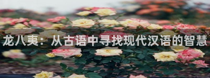 万事娱乐3登录：龙八夷：从古语中寻找现代汉语的智慧