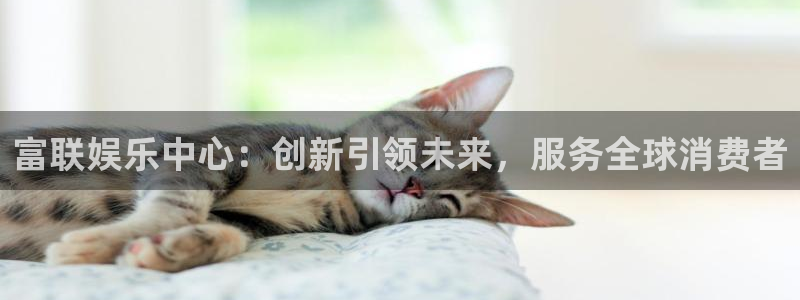 福建万事娱乐机电股份公司：富联娱乐中心：创新引领未来，服务全球消费者
