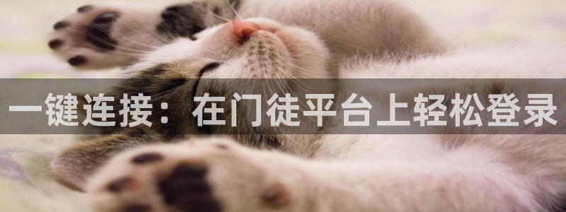 万事娱乐体育注册平台：一键连接：在门徒平台上轻松登录