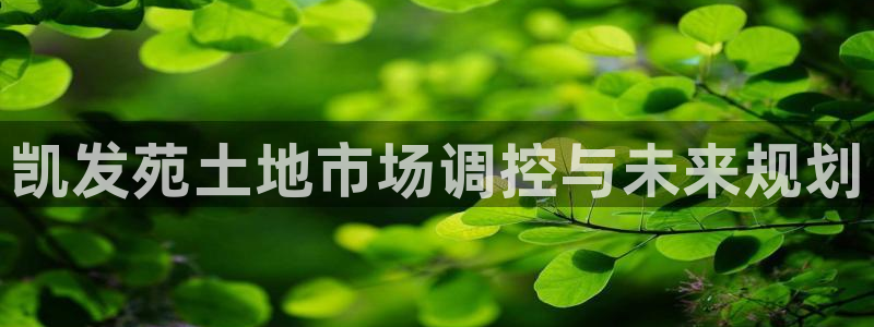 万事娱乐体育：凯发苑土地市场调控与未来规划