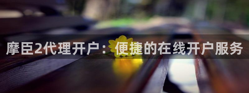 万事娱乐平台：摩臣2代理开户：便捷的在线开户服务