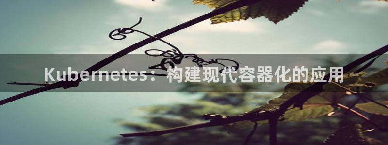 万事娱乐2平台：Kubernetes：构建现代容器化的应用