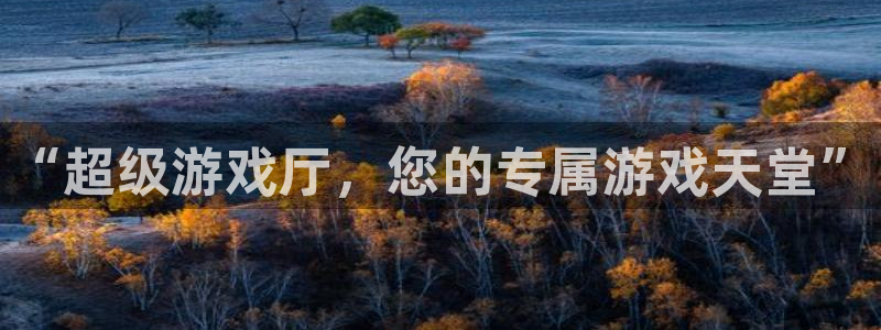 万事娱乐电子有限公司：“超级游戏厅，您的专属游戏天堂”