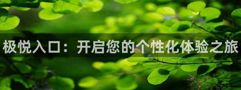 万事娱乐体育1招商：极悦入口：开启您的个性化体验之旅
