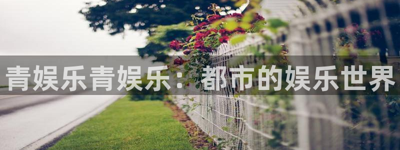 万事娱乐体育1招商：青娱乐青娱乐：都市的娱乐世界
