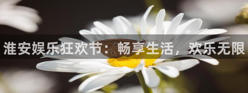 万事娱乐游戏有哪些好玩的：淮安娱乐狂欢节：畅享生活，欢乐无限