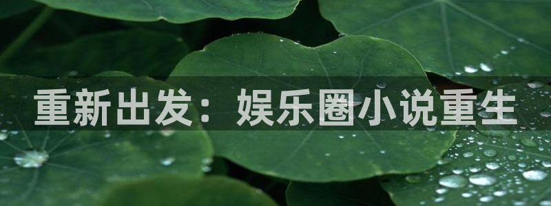 万事娱乐能源：重新出发：娱乐圈小说重生