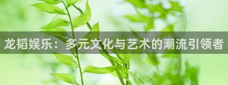万事娱乐平台主管：龙韬娱乐：多元文化与艺术的潮流引领者