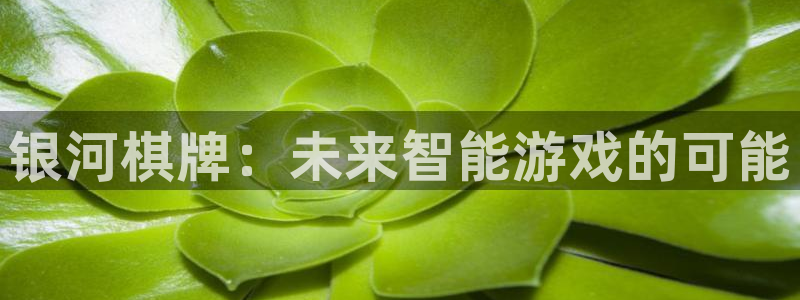 万事娱乐4开户：银河棋牌：未来智能游戏的可能