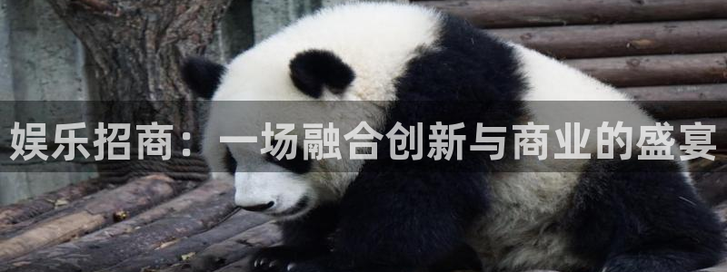 上海万事娱乐汽车电子有限公司：娱乐招商：一场融合创新与商业的盛宴