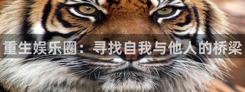 万事娱乐3：重生娱乐圈：寻找自我与他人的桥梁
