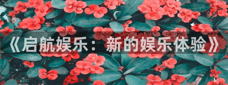 万事娱乐招商：《启航娱乐：新的娱乐体验》