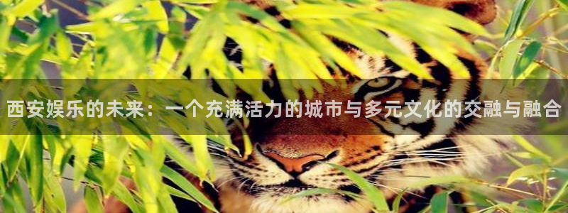 万事娱乐集团股票：西安娱乐的未来：一个充满活力的城市与多元文化的交融与融合